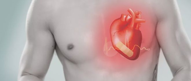 心脑血管可以补硒吗吗（硒与心脑血管?。?硒宝网