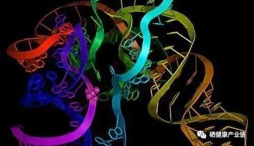 肝病患者补硒治愈视频(硒对肝病的功效与作用)-硒宝网