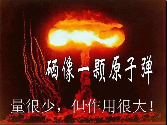 科学补硒宣传日是哪天（科学补硒协会）-硒宝网