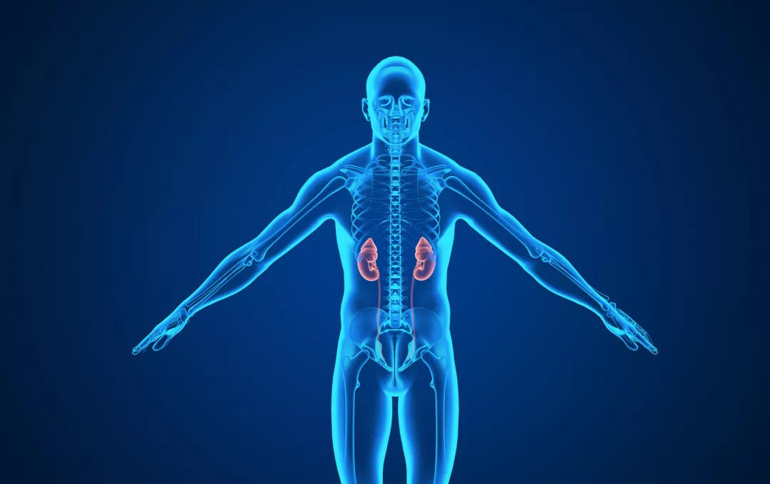 老年人平时怎么补硒呢（补硒可以提高老年人的健康水平）-硒宝网