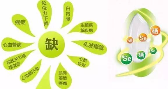 哪些人不能补硒元素呢（补充硒元素）-硒宝网