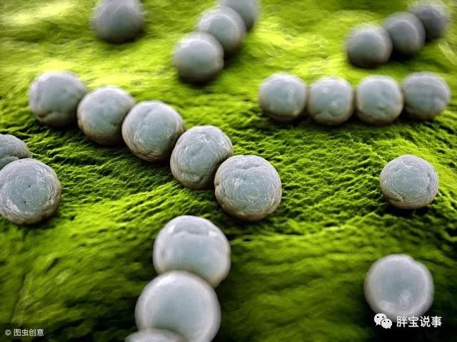 有胃糜烂病的怎样补硒(胃有糜烂可以喝点苦丁茶吗)-硒宝网