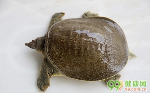 我是大医生补硒的食物（补硒食品）-硒宝网