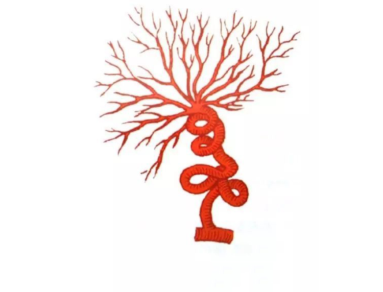 补硒可以降低雌激素吗(硒可以调节女性激素吗)-硒宝网