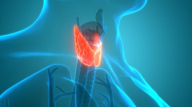 甲状腺肿要补碘还是硒(甲状腺疾病补硒)-硒宝网