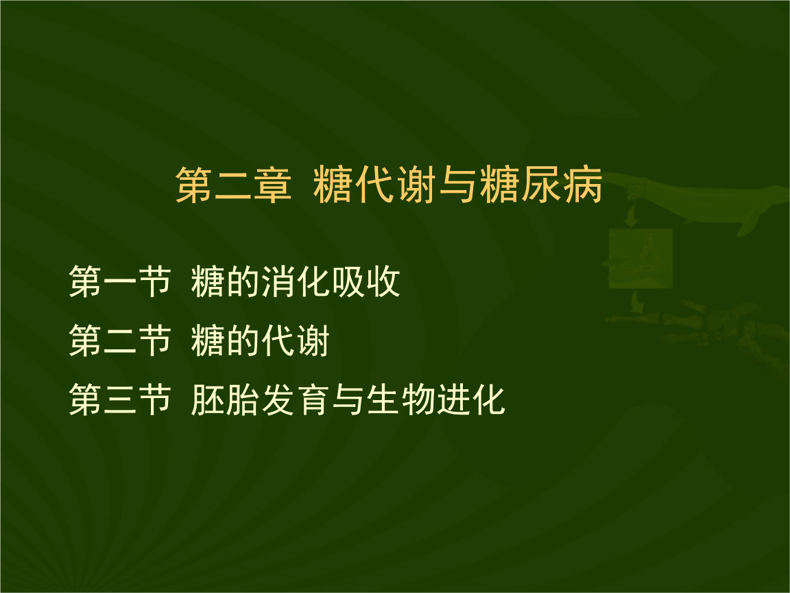 吃腰果补硒要吃多少天(吃腰果补肾是真的吗)-硒宝网