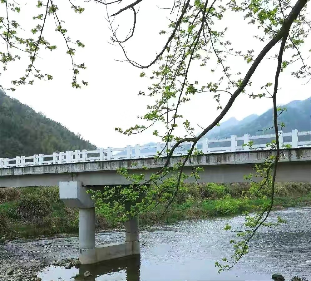 什么茶可以降血压补硒（补硒能降血压吗）-硒宝网