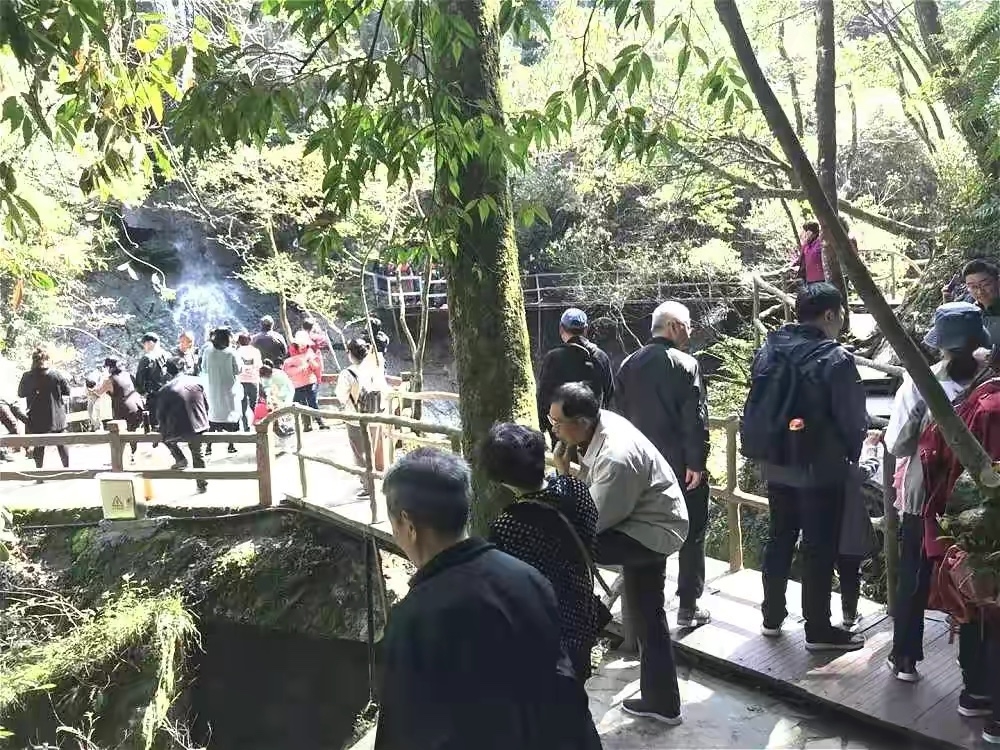 什么茶可以降血压补硒（补硒能降血压吗）-硒宝网