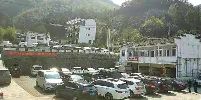 什么茶可以降血压补硒（补硒能降血压吗）-硒宝网