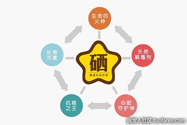 补维生素硒每天吃多少(维生素硒可以长期服用吗)-硒宝网
