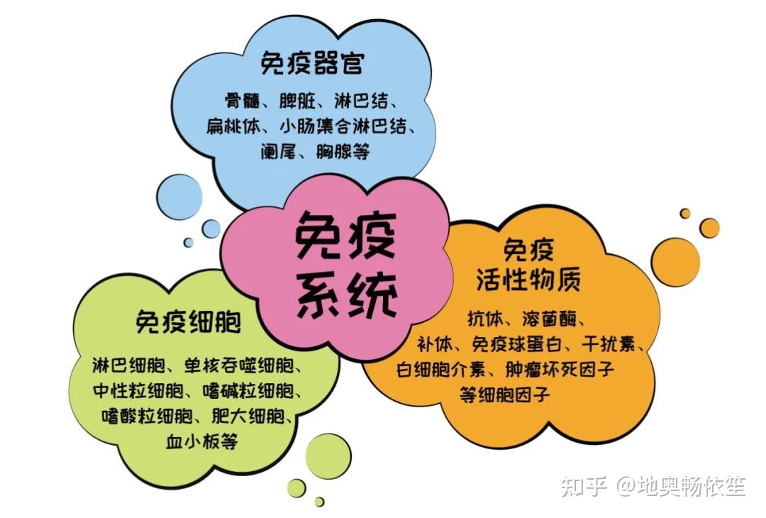 补硒元素是什么意思?。ú刮氐氖澄镉心男?硒宝网