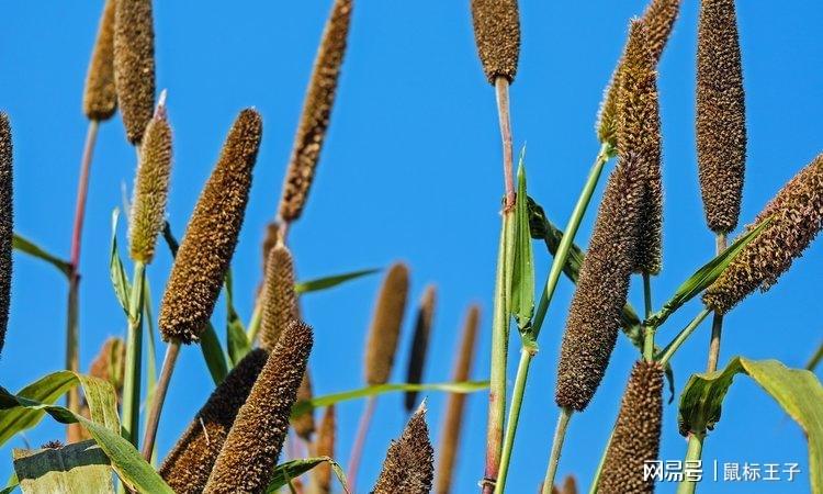 病人一天补多少毫克硒（病人补一天硒多少钱）-硒宝网