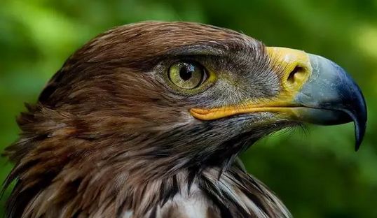 青光眼病人能补硒吗吗(补硒能抗癌)-硒宝网