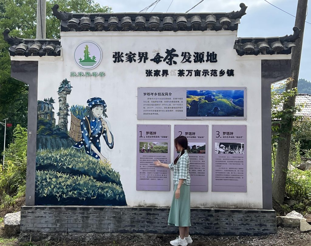 莓茶哪里产的最正宗(莓茶的原产地是张家界吗？）-硒宝网