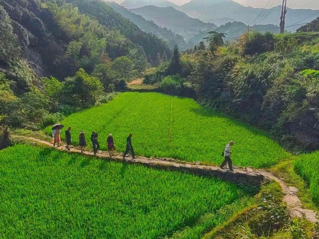 石台县富硒村旅游攻略（最新吃住一日游路线）-硒宝网