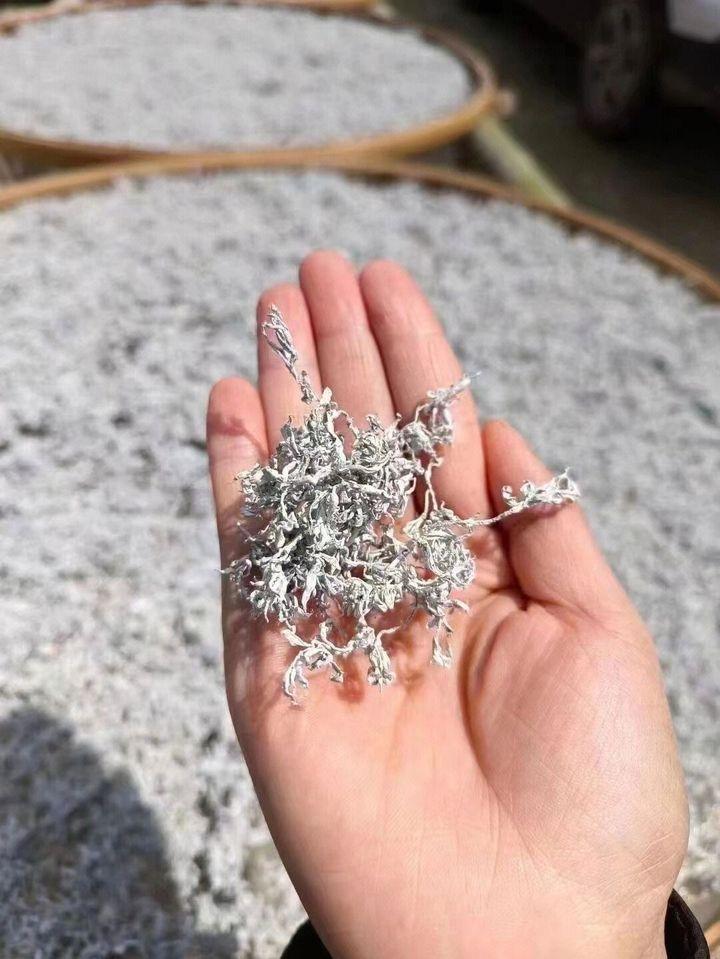 藤茶的功效有哪些？（藤茶有什么好处）-硒宝网