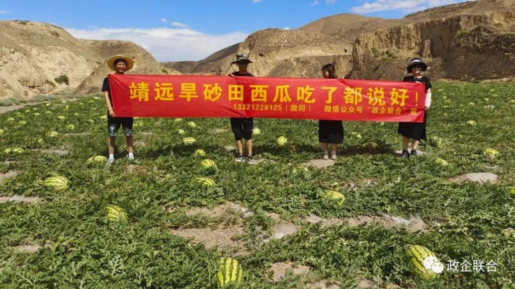 甘肃富硒西瓜产地(甘肃富硒西瓜种植基地)-硒宝网