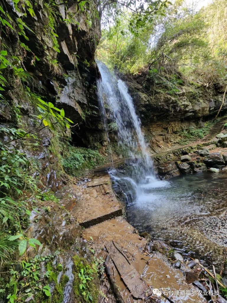 安徽石台富硒水的故事（安徽石台富硒水源地介绍）-硒宝网