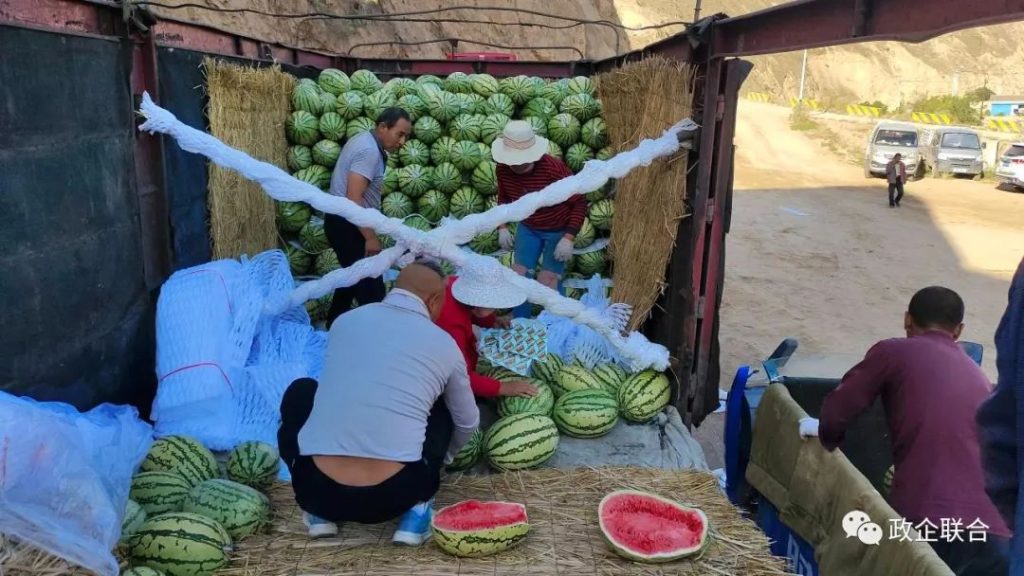 甘肃富硒西瓜产地(甘肃富硒西瓜种植基地)-硒宝网