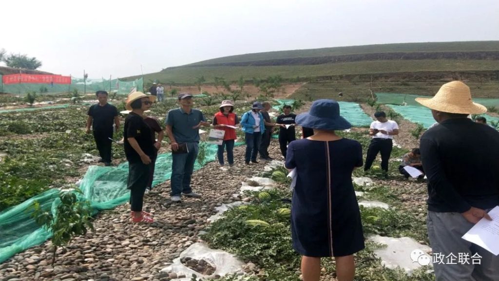 甘肃富硒西瓜产地(甘肃富硒西瓜种植基地)-硒宝网