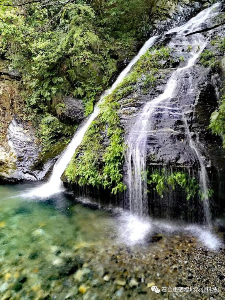 安徽石台富硒水的故事（安徽石台富硒水源地介绍）-硒宝网