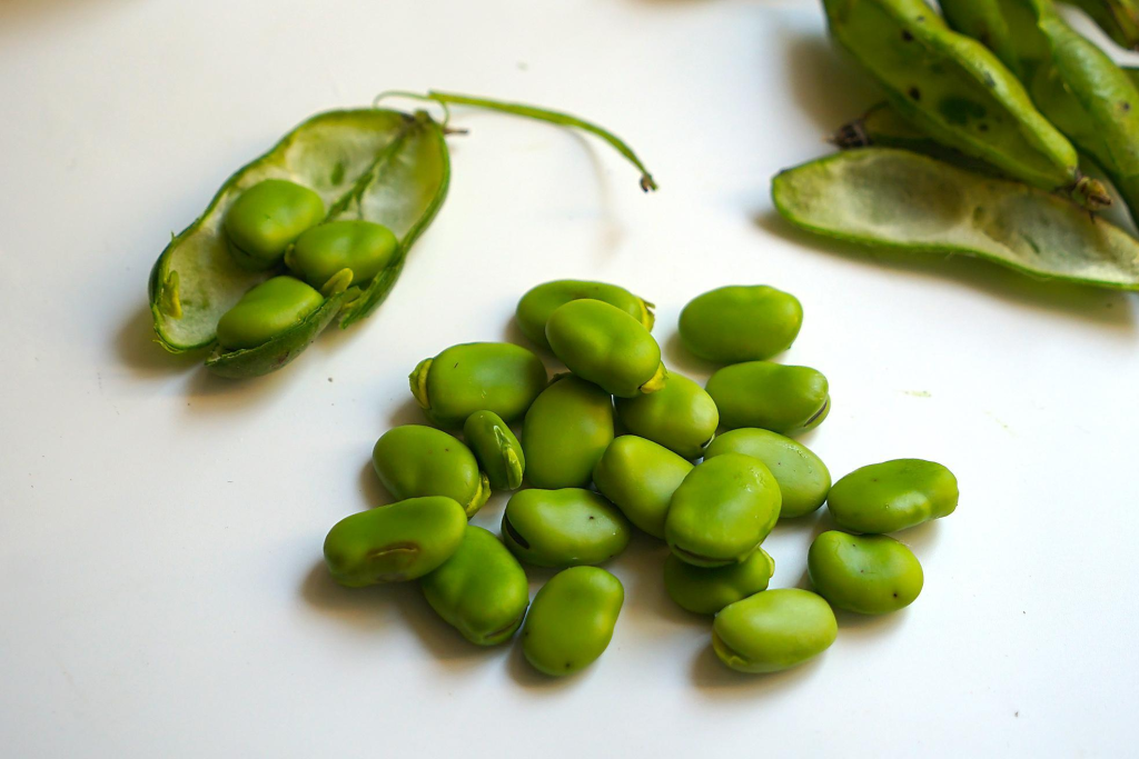 高嘌呤蔬菜一览表(嘌呤高的食物一览表2023)-硒宝网