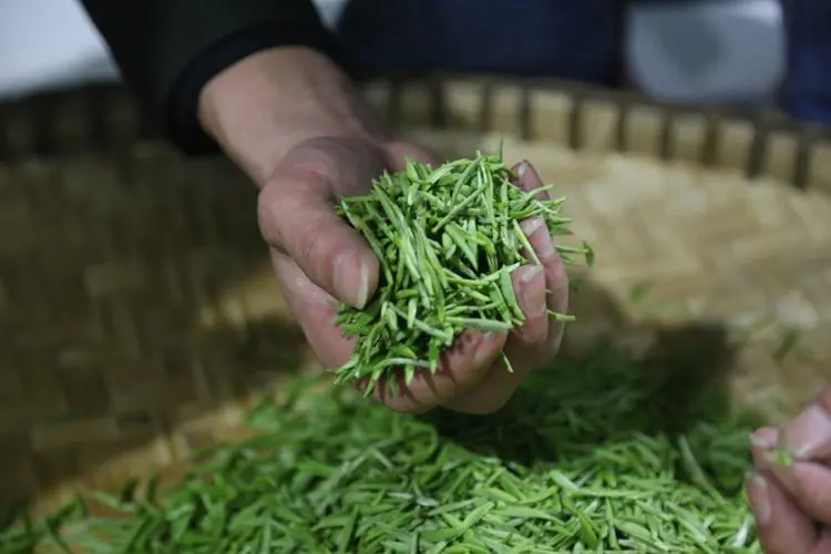 喝硒茶有什么好处（喝茶补硒吗）-硒宝网