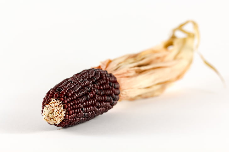 富硒玉米是真的吗？（黑玉米的功效与作用）-硒宝网