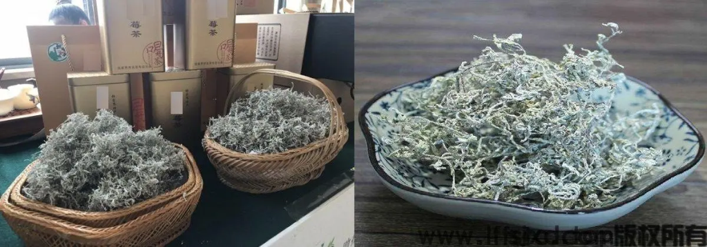 藤茶的功效和禁忌(六种人不宜喝藤茶)-硒宝网