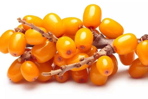 沙棘中硒的含量是多少（富含有多少种营养成分及营养成分）-硒宝网