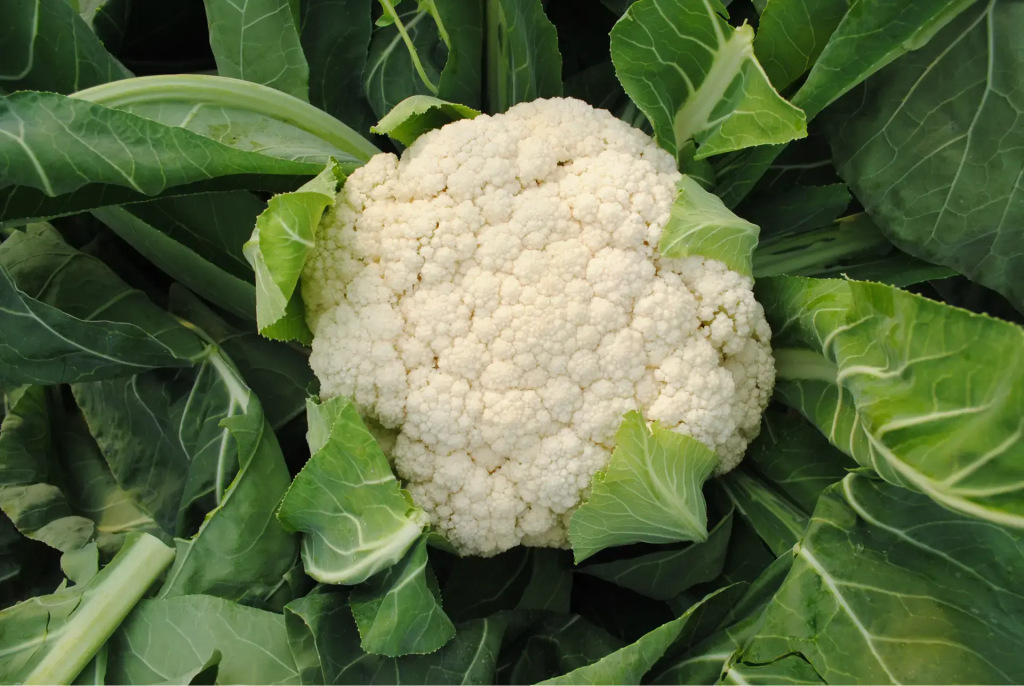 硒有哪些作用与功效(元素硒对人体健康的作用)-硒宝网