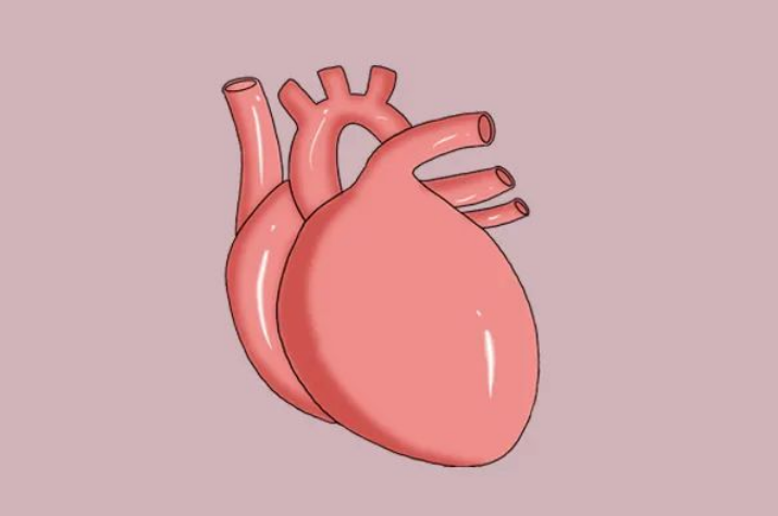 吃什么补硒最快最好（补硒的最佳蔬菜水果有哪些）-硒宝网