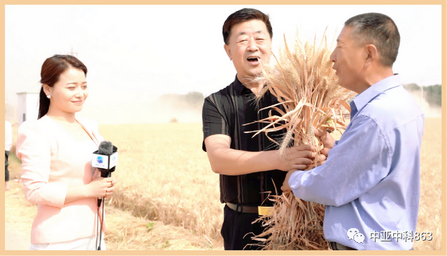 Y8富硒小麦品种产量(富硒y8小麦是不是高产)-硒宝网