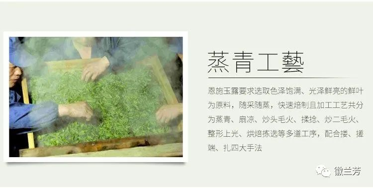 恩施玉露是富硒茶吗(恩施玉露富硒茶多少钱)-硒宝网