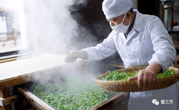 恩施玉露是富硒茶吗(恩施玉露富硒茶多少钱)-硒宝网