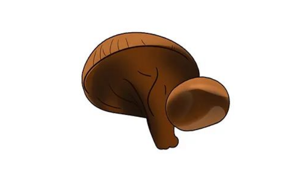 吃什么补硒最快最好（补硒的最佳蔬菜水果有哪些）-硒宝网