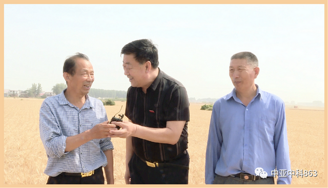 Y8富硒小麦品种产量(富硒y8小麦是不是高产)-硒宝网