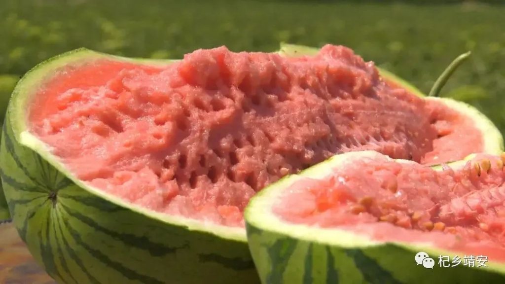 甘肃富硒西瓜品种介绍(甘肃最出名的西瓜)-硒宝网