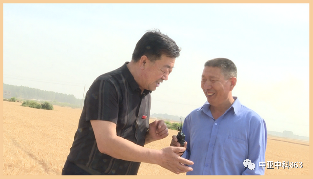 Y8富硒小麦品种产量(富硒y8小麦是不是高产)-硒宝网