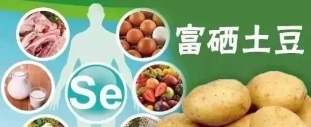 哪种有机硒最好（最好吸收的硒片有哪些）-硒宝网