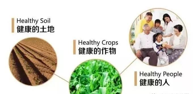 哪种有机硒最好（最好吸收的硒片有哪些）-硒宝网