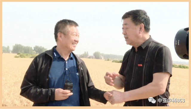 Y8富硒小麦品种产量(富硒y8小麦是不是高产)-硒宝网