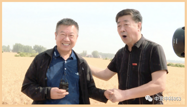 Y8富硒小麦品种产量(富硒y8小麦是不是高产)-硒宝网