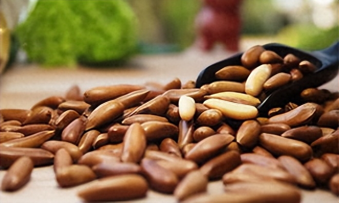 芦荟胶能不能补硒元素(芦荟有胶原吗)-硒宝网