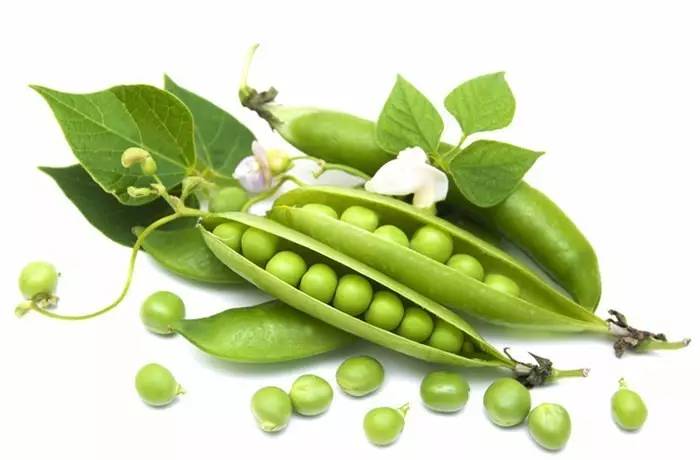 补硒元素治病毒性肺炎（硒对肺炎的原理）-硒宝网