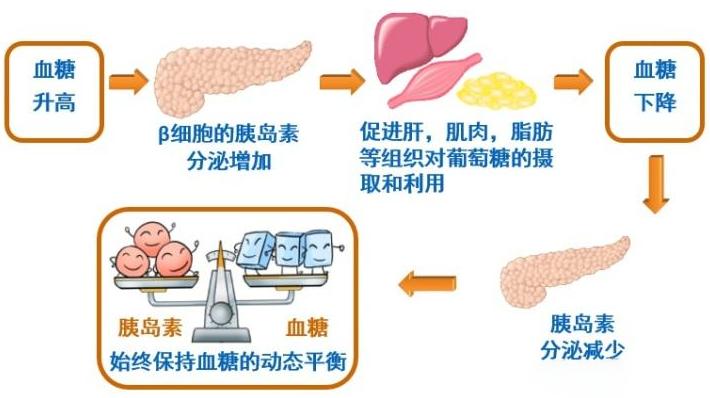 血糖高补硒身上会痒吗（硒对高血糖有什么作用）-硒宝网