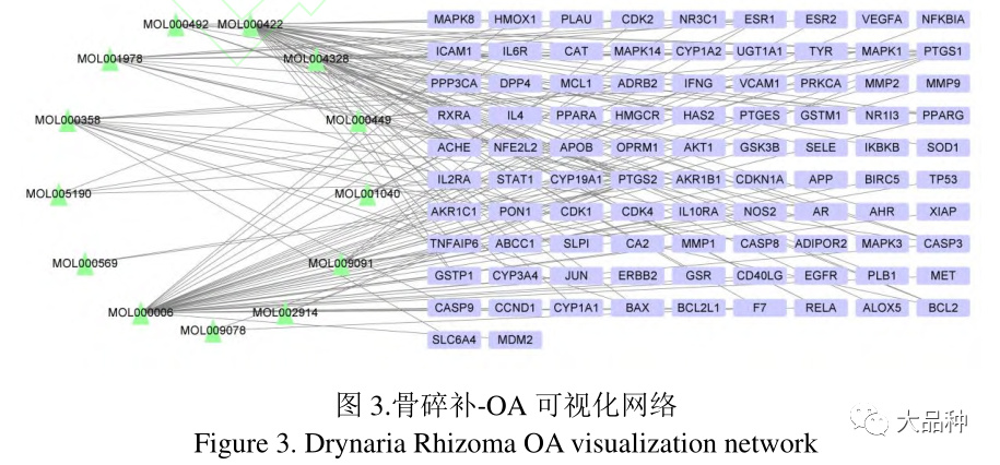 骨关节炎补硒有好处吗（补硒对关节炎有好处么）-硒宝网