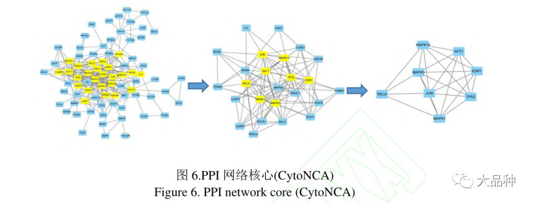 骨关节炎补硒有好处吗（补硒对关节炎有好处么）-硒宝网