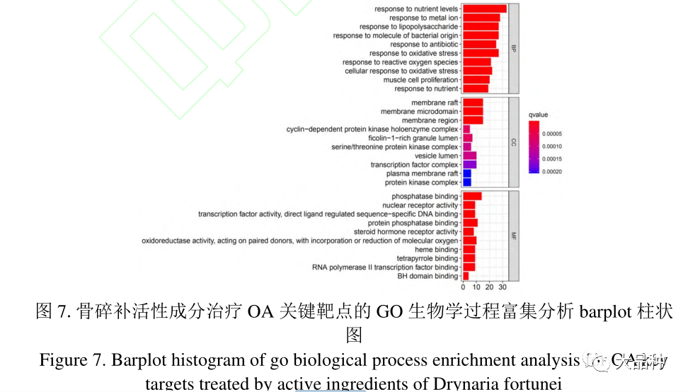 骨关节炎补硒有好处吗（补硒对关节炎有好处么）-硒宝网