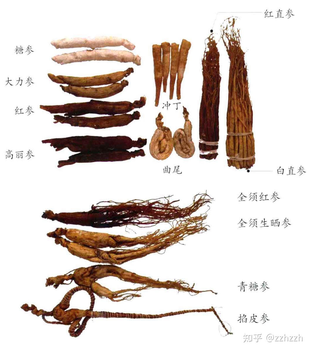 补硒的药过量会怎么样(过量补硒的危害)-硒宝网